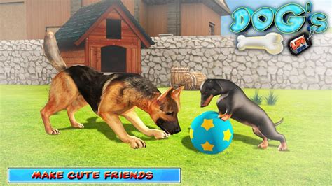 dog games|DOG GAMES .